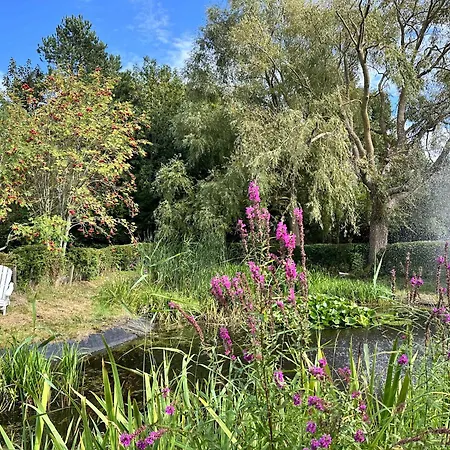 Sky & Homes Storchennest I Cozy Fuer 4 Gaeste Mit Terrasse Und Parkgarten Im Reetdachanwesen In Spo * Sankt Peter-Ording