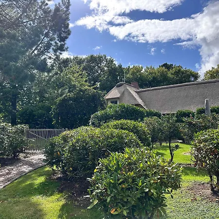 Sky & Homes Storchennest I Cozy Fuer 4 Gaeste Mit Terrasse Und Parkgarten Im Reetdachanwesen In Spo *